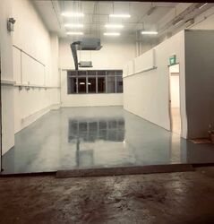 North Spring Bizhub (D27), Factory #556798521
